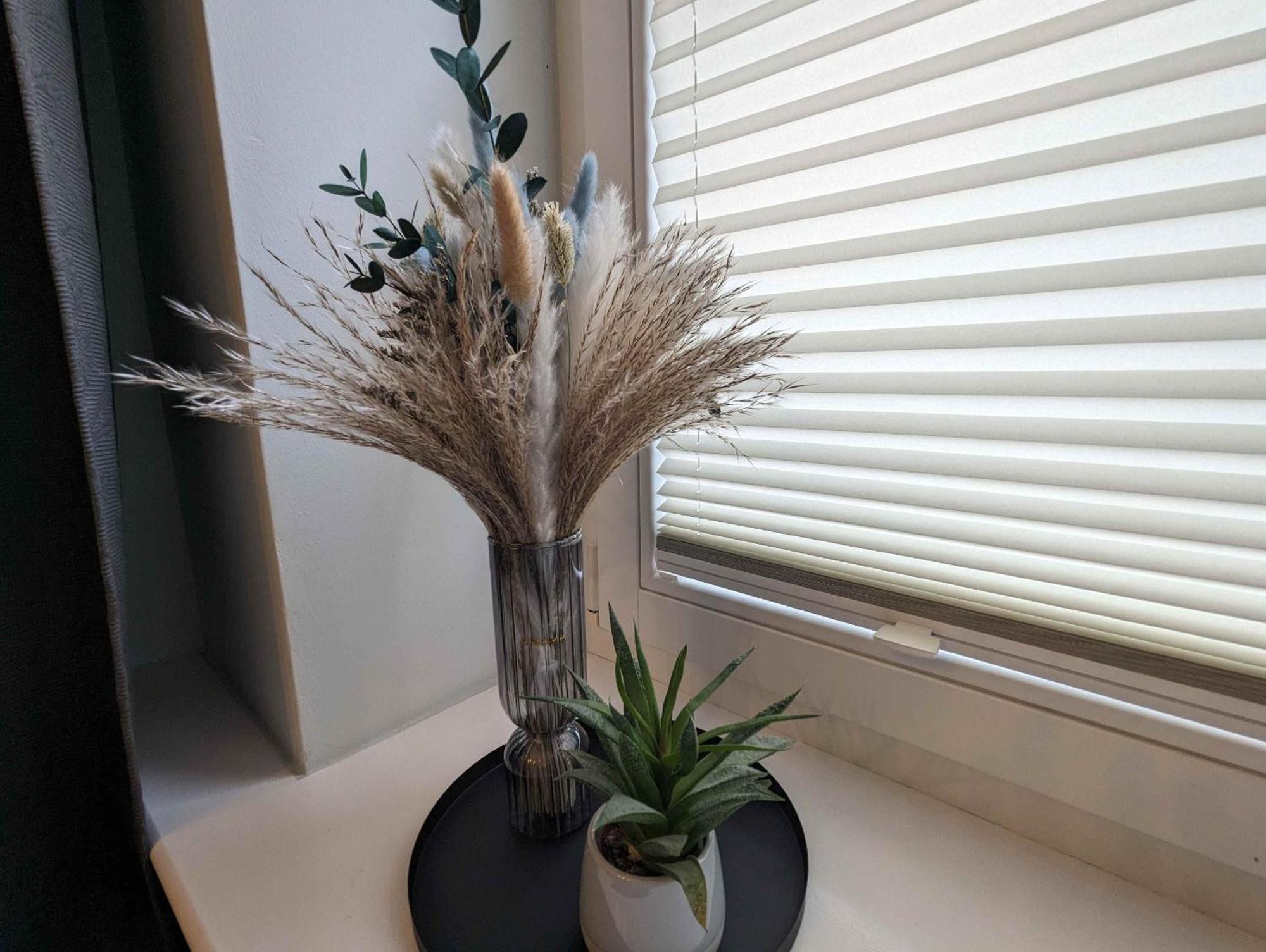 Strelapartment By Meinke Mitten In Der Altstadt Apartment Stralsund